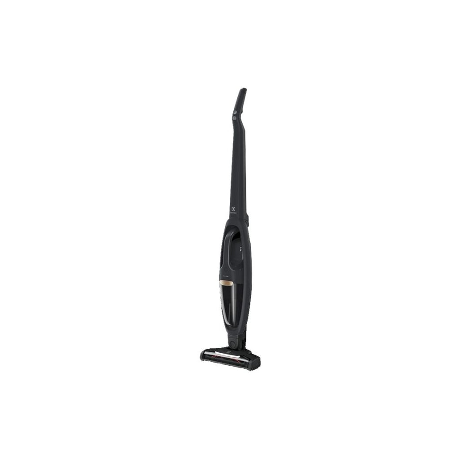 Electrolux WQ61-1OGG 18V Well Q6 Bagless Handstick Vacuum Cleaner – ESH  Electrical